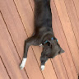 Meet your Posher, Eliza